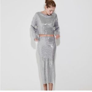 COPY - Zara sequin midi skirt NWT brand new